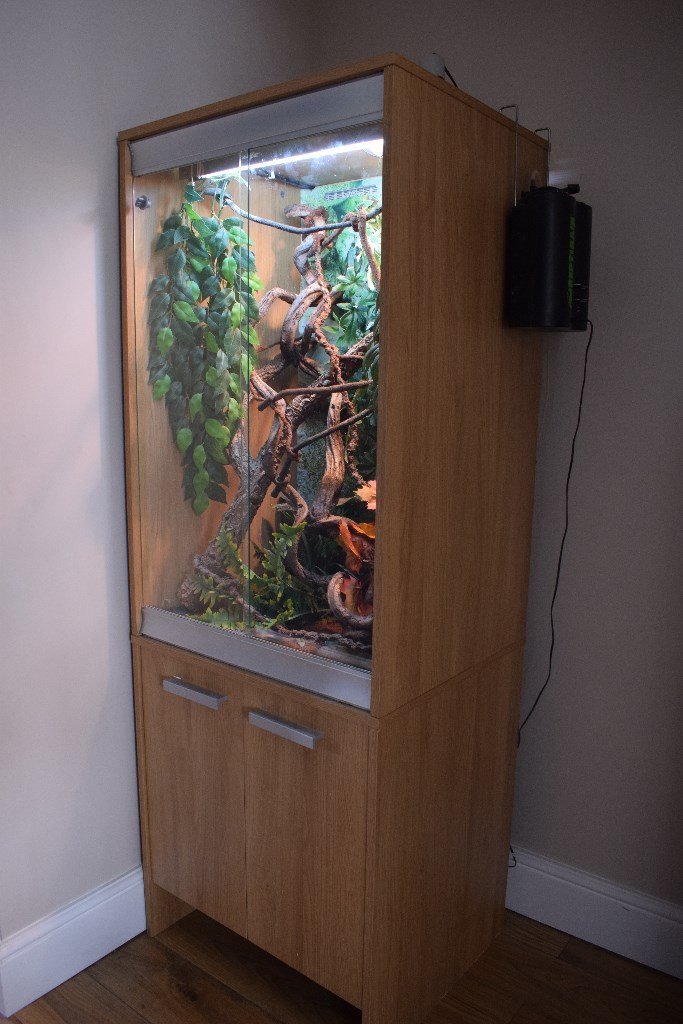 3ft Chameleon vivarium with stand/unit in Diss, Norfolk Gumtree