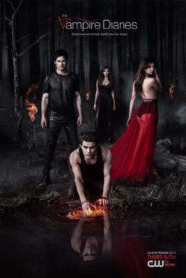 Vampire Diaries: 計11冊(3-13巻) THE VAMPIRE DIARIES - 11