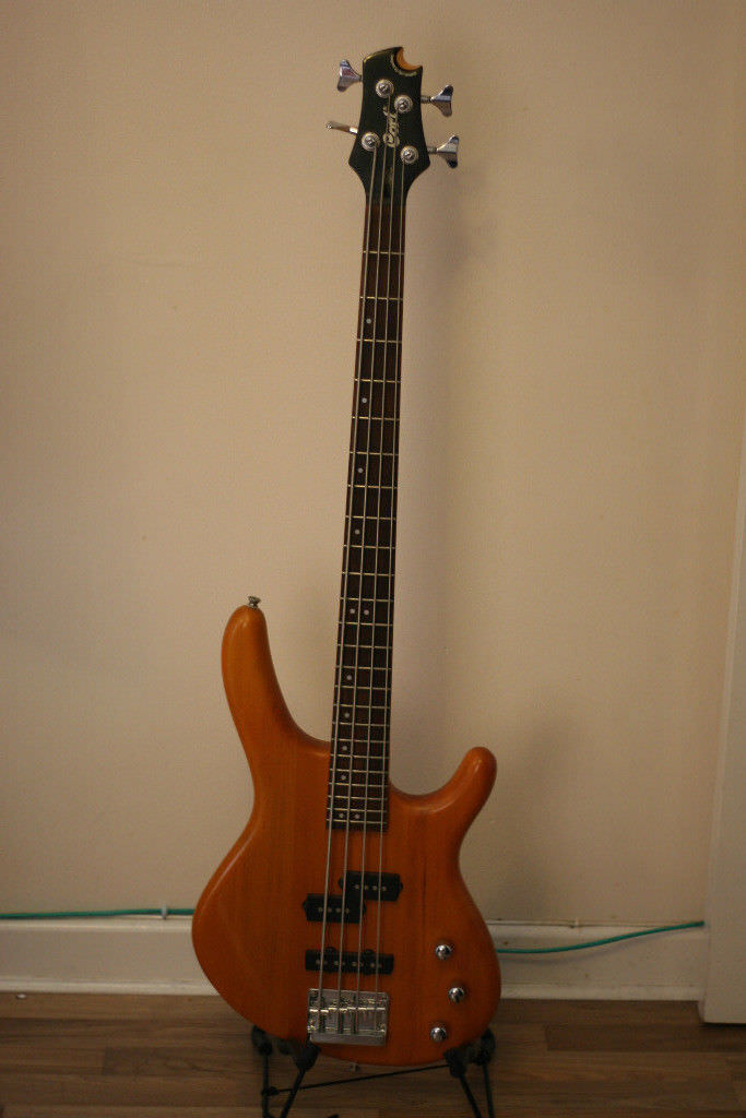 Cort Action PJ Bass in Canterbury, Kent Gumtree