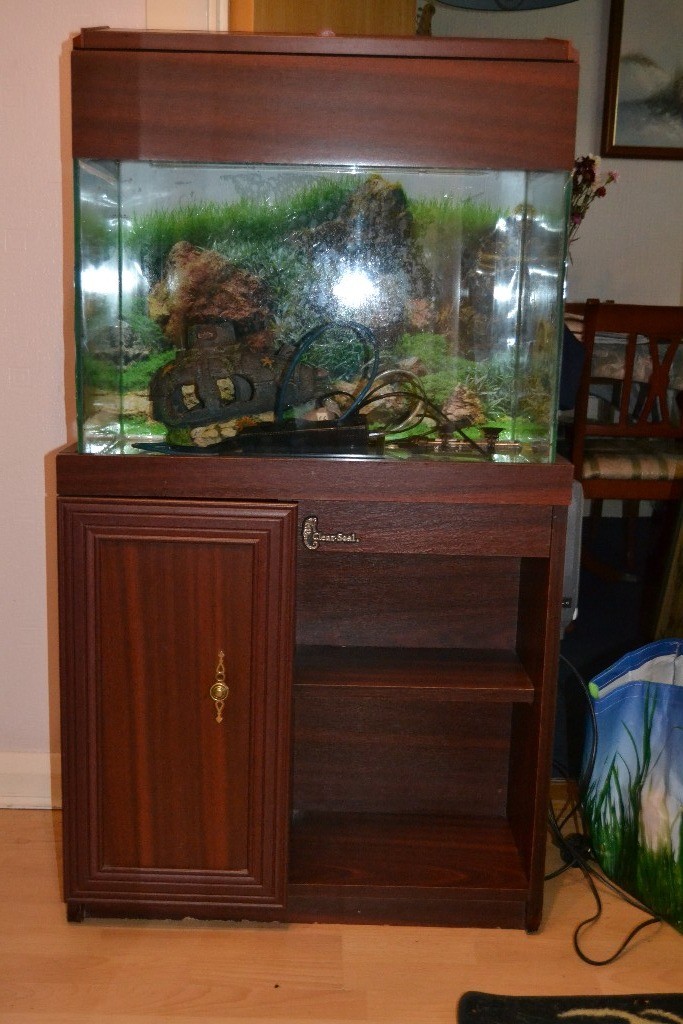 Clear Seal Aquarium. in Halstead, Essex Gumtree