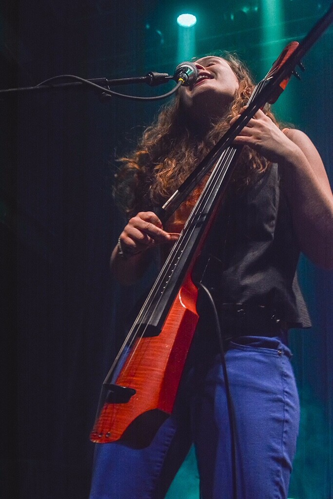 NS Design CR6 6-string Electric Cello or Viola da Gamba, Mint, with Accessories