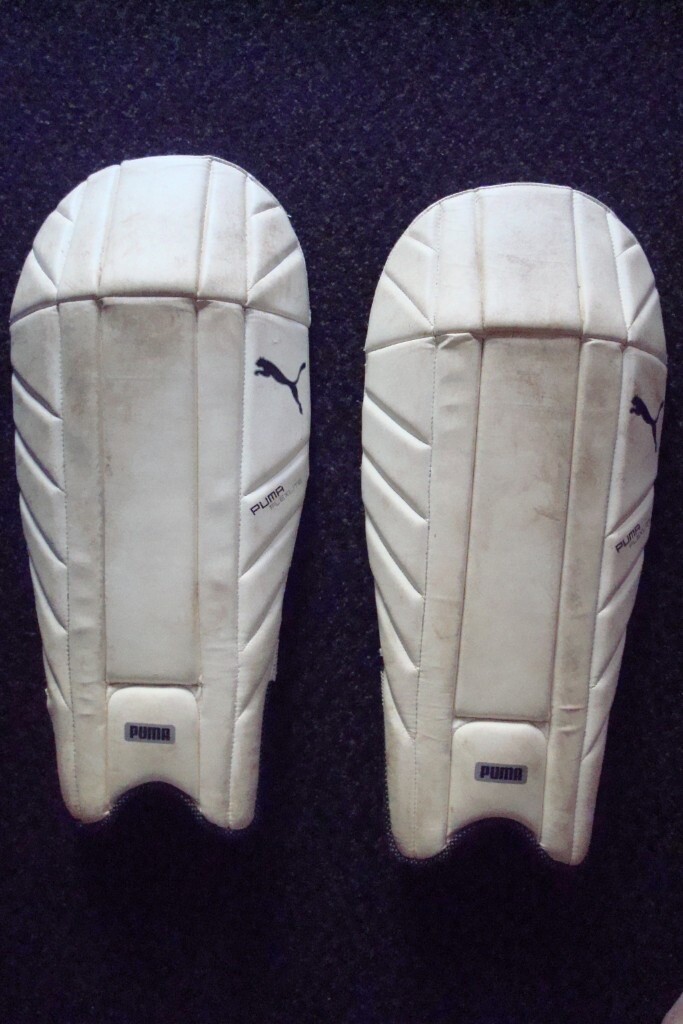ADULT CRICKET SHIN PADS | in Torquay, Devon | Gumtree