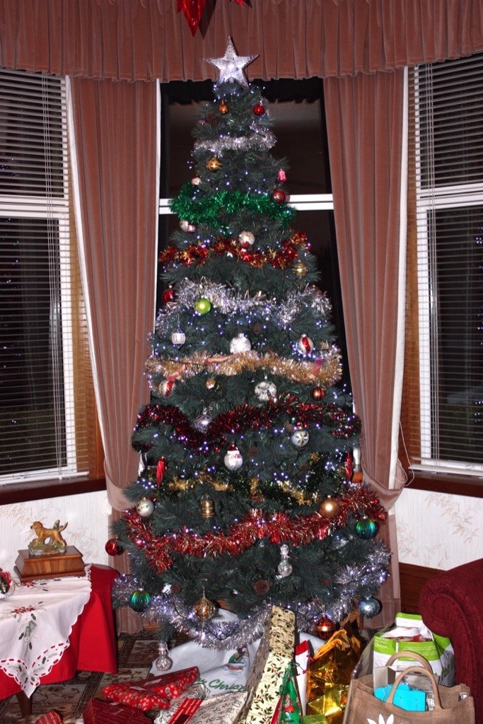 8ft Everlands Norwich pine Christmas tree in Buckie, Moray Gumtree