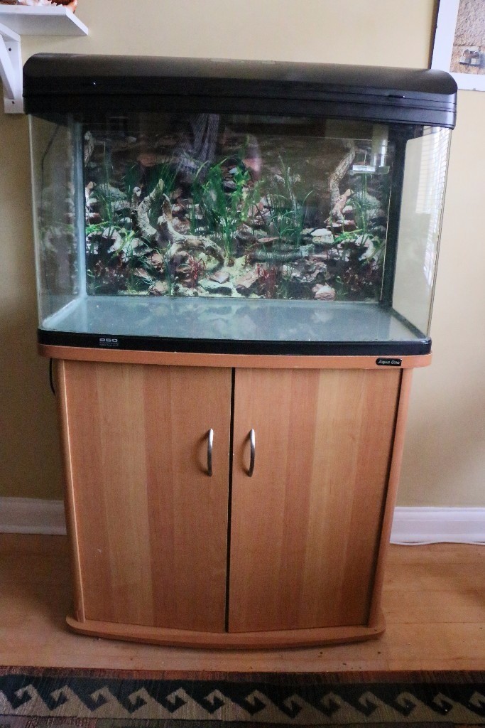Aqua One AR850 Fish Tank Aquarium in West Wickham, London Gumtree