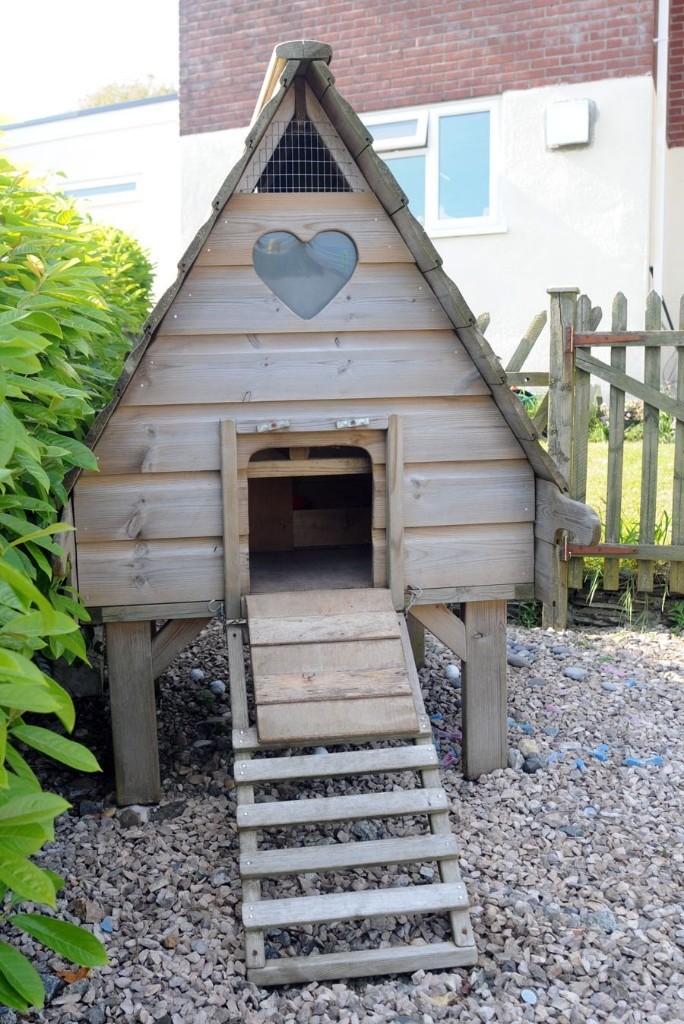 Flyte So Fancy Hen House Chicken Coop Ark For Up To 6 Large Hens In Plymouth Devon Gumtree