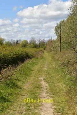 Photo 6x4 Footpath to Moat Farm Lingfield Common  c2021