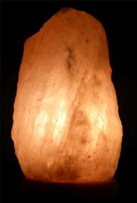 Himalayan Salt Crystal Lamp I Nature Air Purifier Neem Wood Base Dimmer Bulb New
