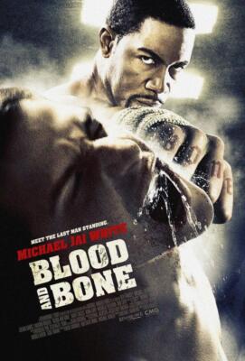 Blood and Bone Movie Poster Photo Art Print 8x10 11x17 16x20