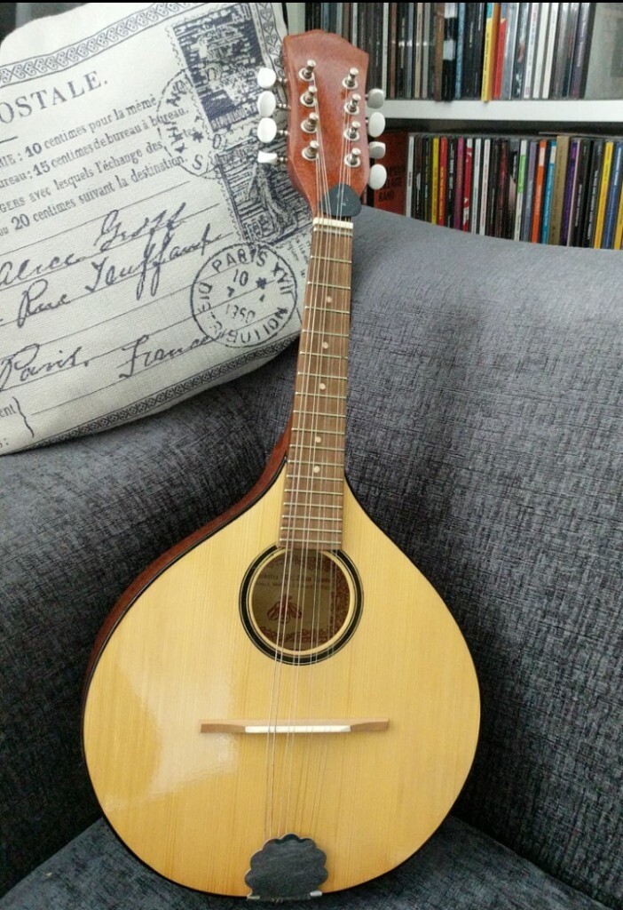 Flat Irish Mandolin. Very good condition. Comes in basic plastic case