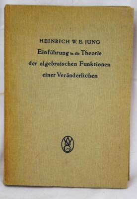 1923 Theory of Algebraic Functions of One Variable H.W.E. Jung In German HC