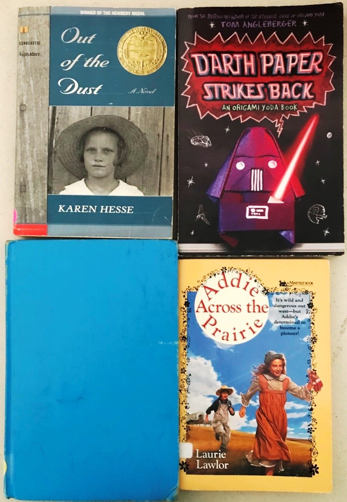 20 Kids Books Reading Level 4-5 Acceptable School Stickered Lot Children Beverly