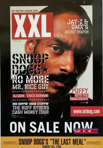 アップルバム　Snoop Dogg ポスター レア美品】APPLEBUM Snoop Dogg 浮世絵ポスター - メルカリ