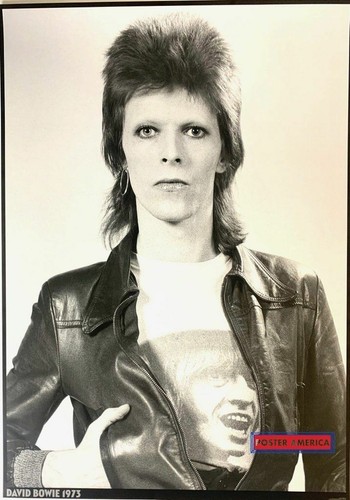 洋書 David Bowie immortel Unidentified Designer. David Bowie, Low. 1977 | MoMA
