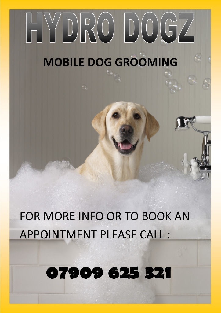 Hydro Dogz Mobile Dog Groomer (Dog Grooming) Paisley & Surrounding
