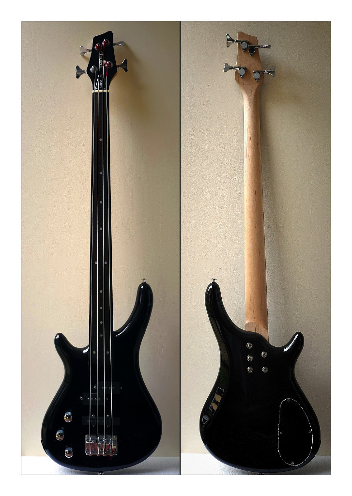 Left Handed Fretless Bass in Fairwater, Cardiff Gumtree