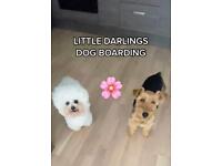 Little Darlings Dog Boarding Services 