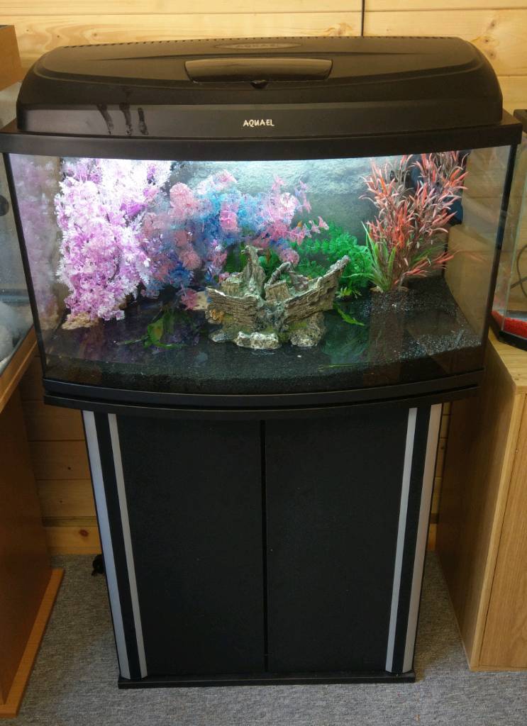 Aquael 90L Tropical Fish Tank Setup in Morpeth, Northumberland Gumtree