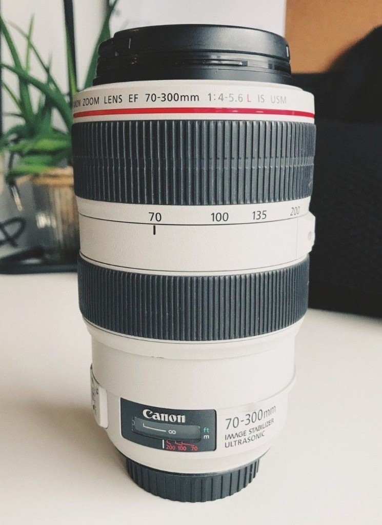 CANON EF 70300mm 145.6 L IS USM LENS + ORIGINAL BOX + LENS HOOD in