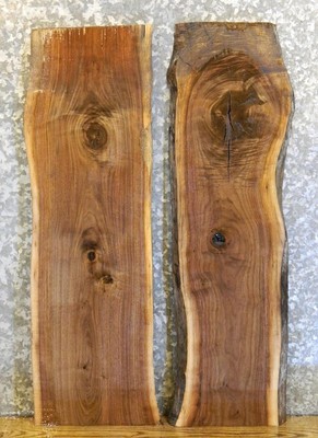 2- DIY Live Edge Charcuterie Boards/Black Walnut Wood Shelf Slabs 1520-1521