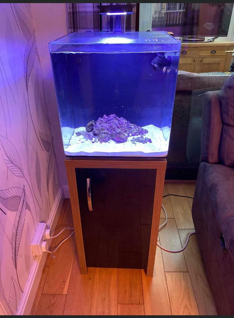 Aqua 40 fish tank with light. NO FISH OR CORALS!! in Little Lever