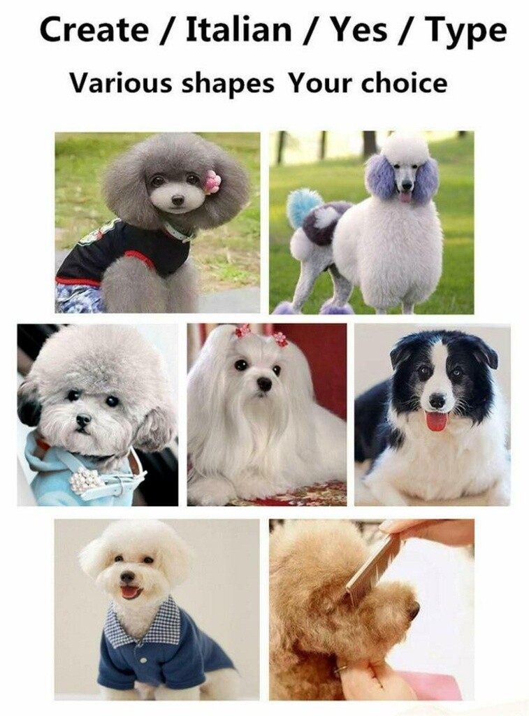 Professional Hair Fur Cutting Scissors Pet Dog Grooming Kit Curved