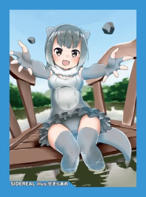 Kemono Friends Aonyx cinerea doujin Card Sleeve Protector