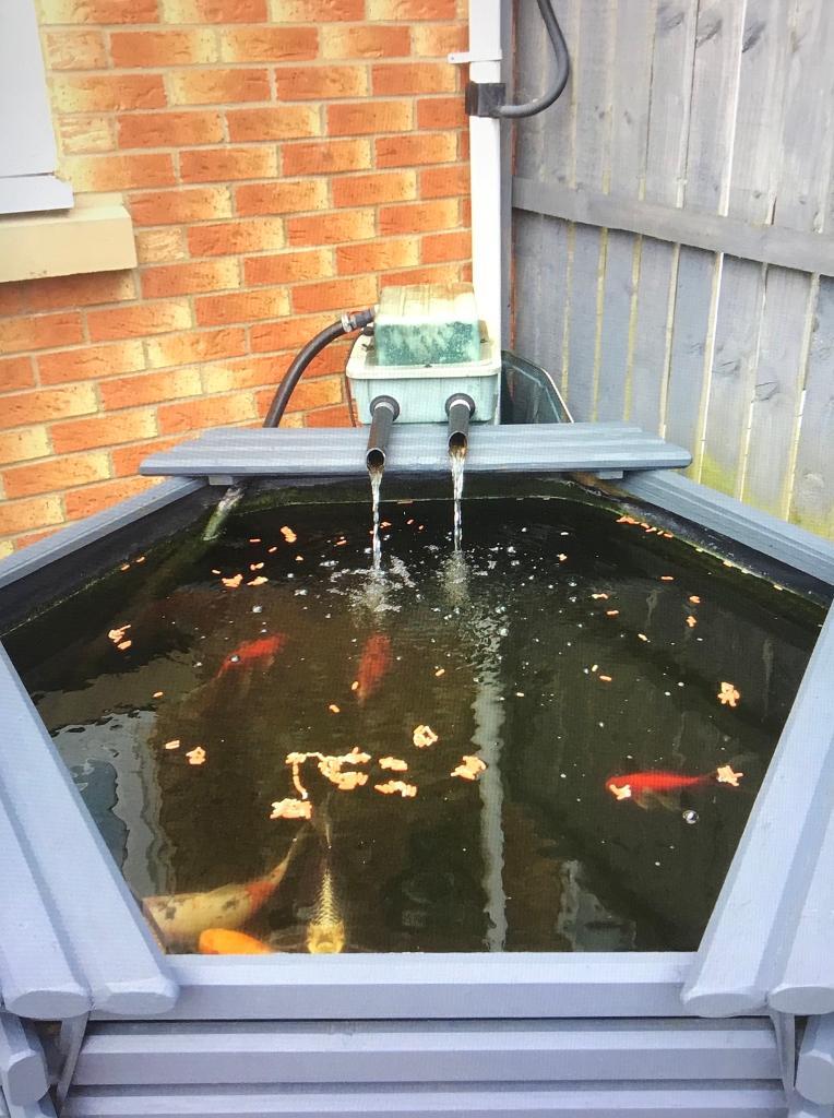 Hexagonal pond with 5 koi carp and full setup | in Houghton Le Spring