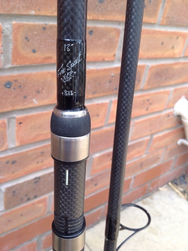 13ft carp rods for sale