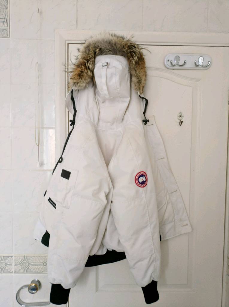 canada goose gumtree scotland canada goose gumtree scotland