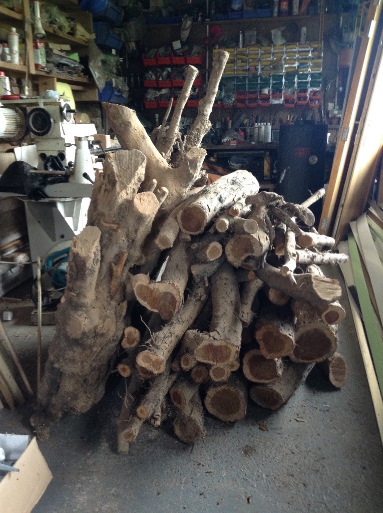 Yew logs for wood turning. in Strathaven, South Lanarkshire Gumtree