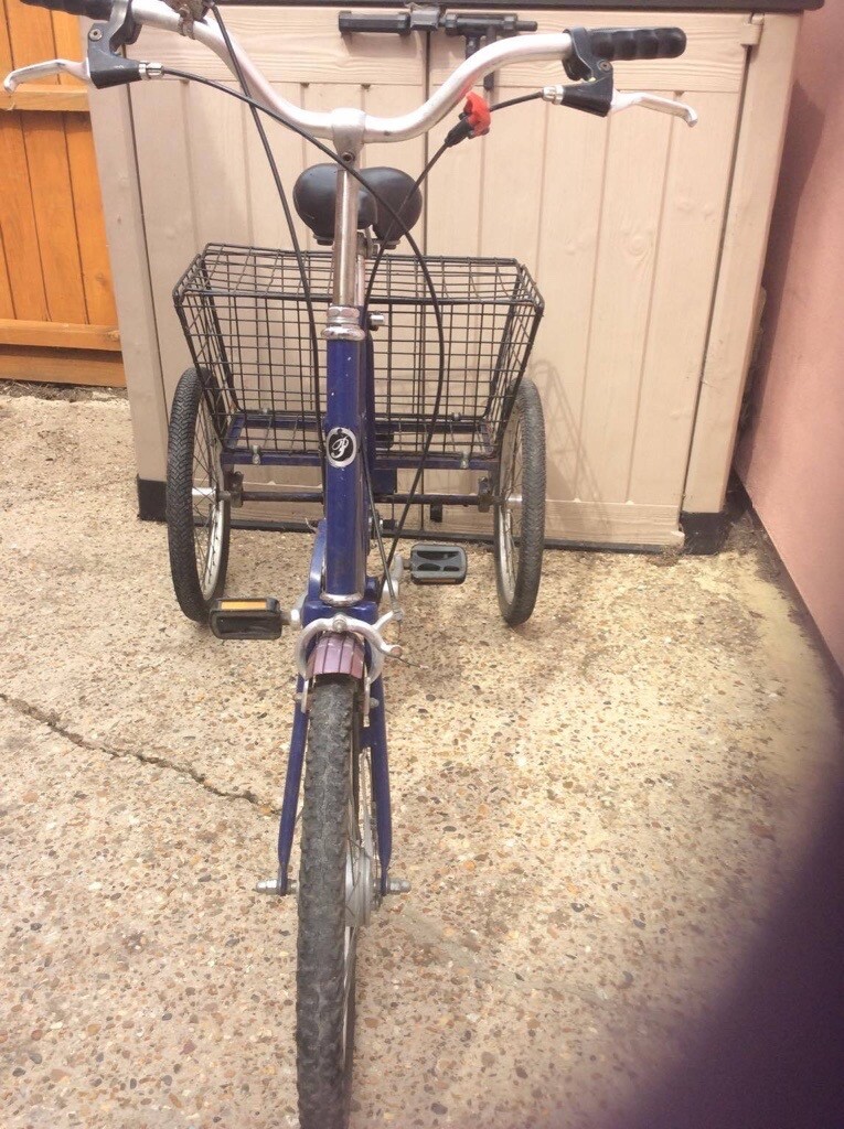 Pashley Picador Adult Tricycle for sale in Colchester, Essex Gumtree