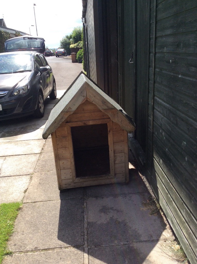 Dog kennel in Lisburn, County Antrim Gumtree