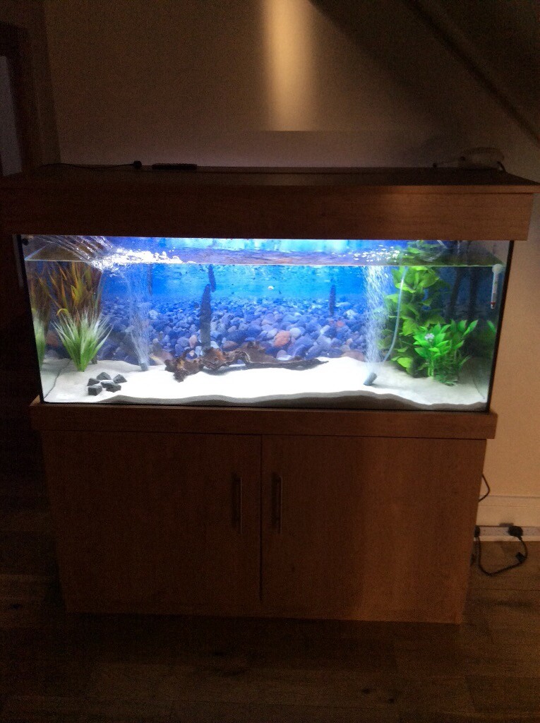 Fish Tank 250l in Falkirk Gumtree