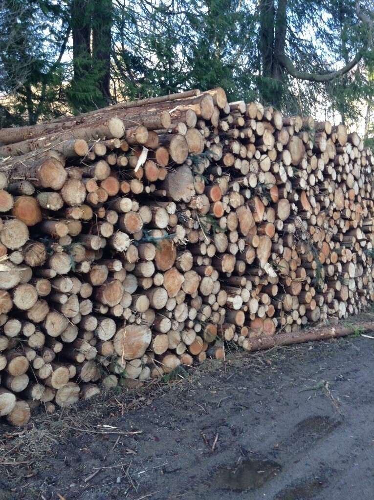 Firewood (Lorry load) in Westhill, Aberdeenshire Gumtree