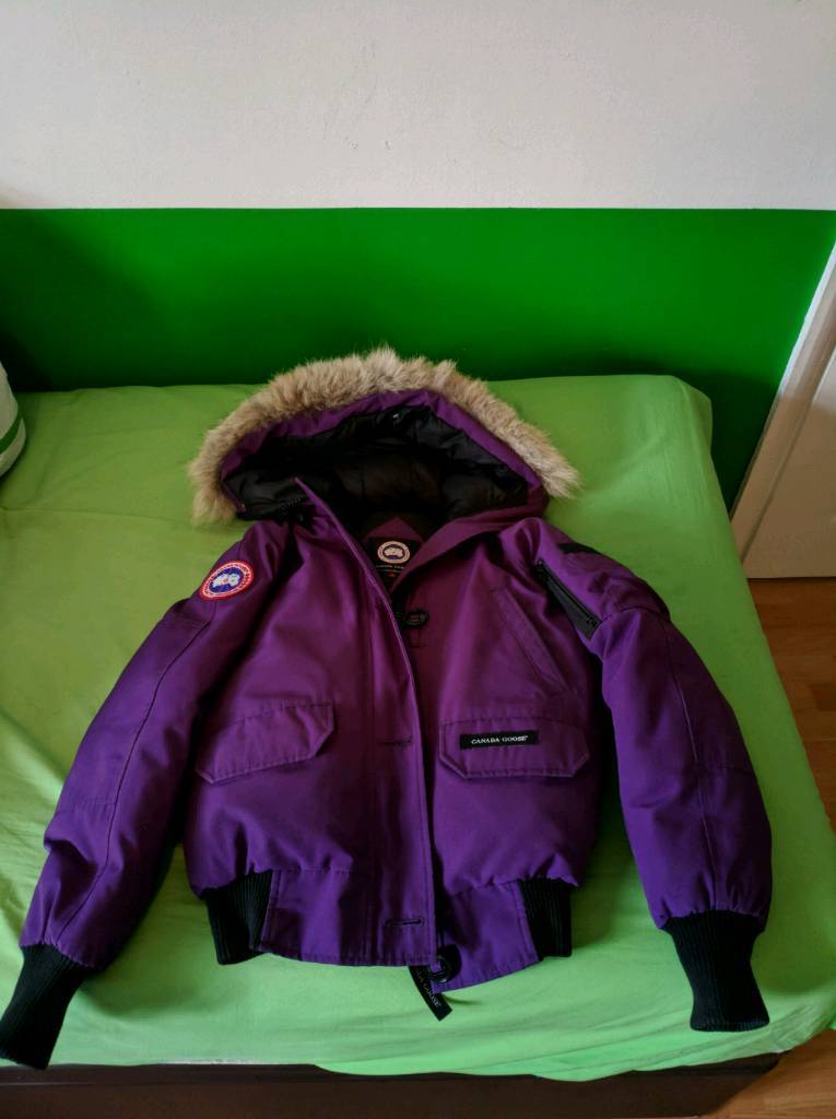 canada goose lilac canada goose lilac