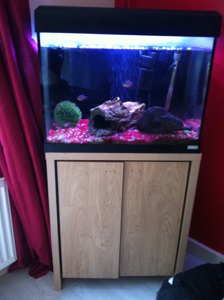 Fluval aquarium 90 litre in Dunmow, Essex Gumtree