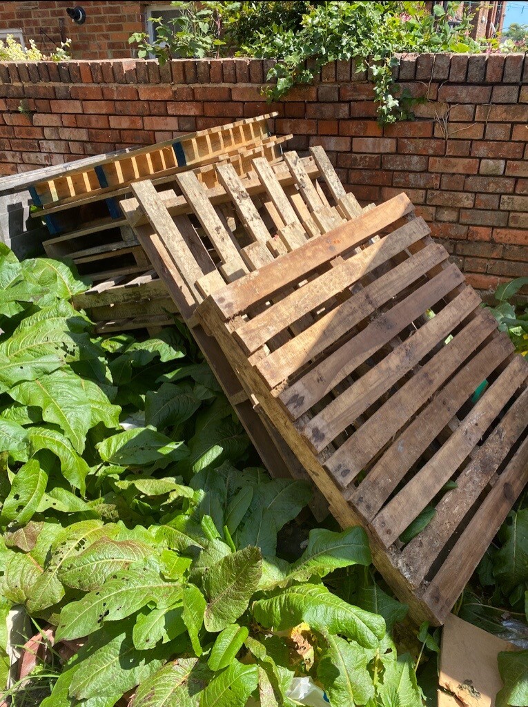 Free Pallets in Folkestone, Kent Gumtree