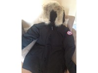 canada goose gumtree scotland canada goose gumtree scotland