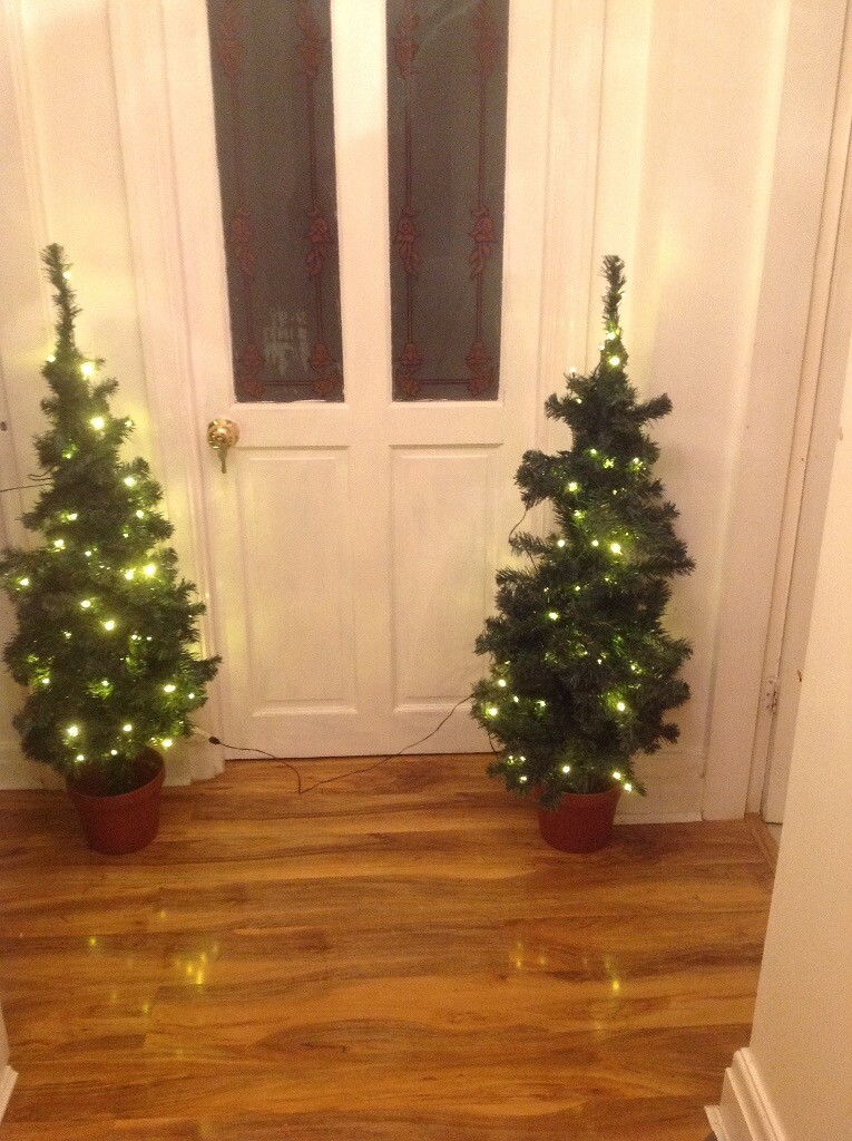 Next Pair of Indoor/Outdoor Pre Lit Christmas Trees  in Hull, East