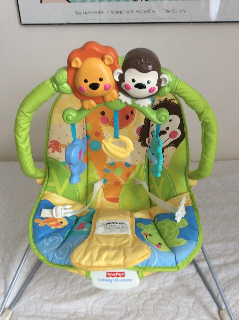 Fisher Price Baby Bouncer ChairPerfect Condition in Dollis Hill