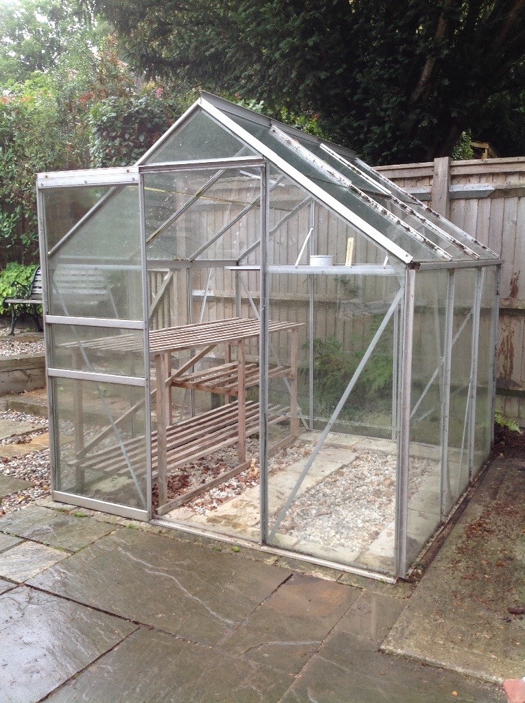 Free 6ft x 6ft Greenhouse with free shelving & staging. in Hartfield, East Sussex Gumtree