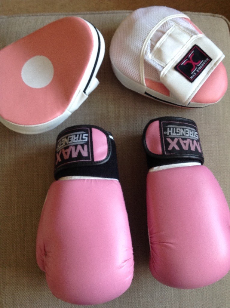 Boxing gloves and pads ( ladies pink ) in Ingleby Barwick, County
