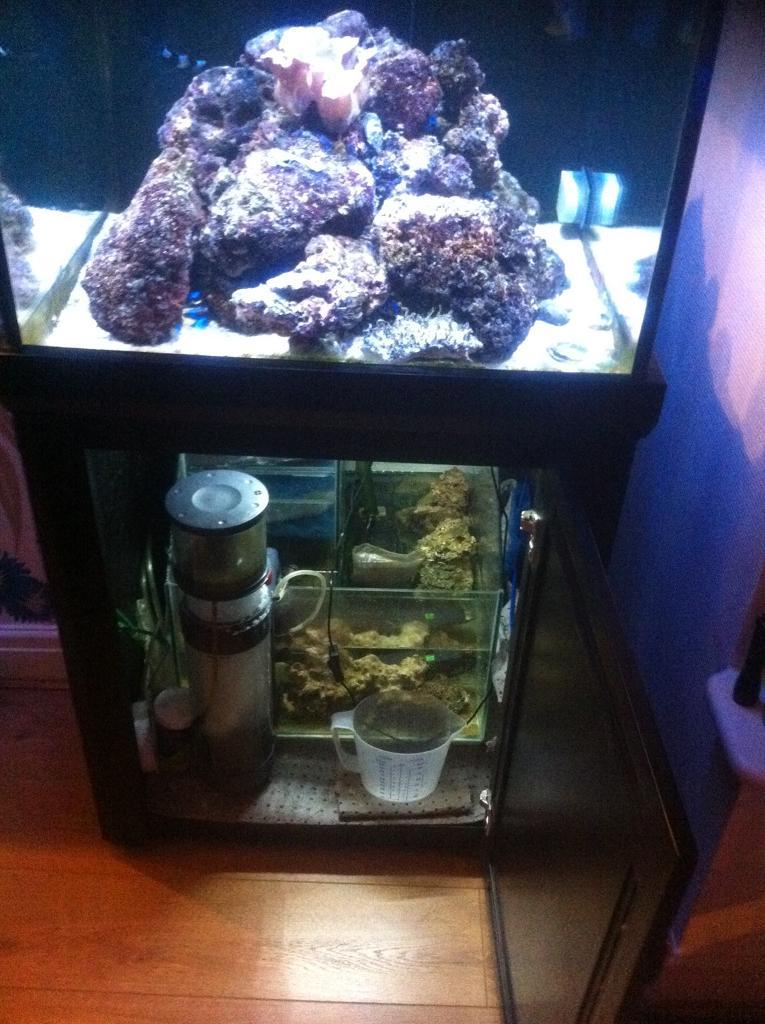 300L AQUA1 complete marine fish tank set up in Leeds, West Yorkshire