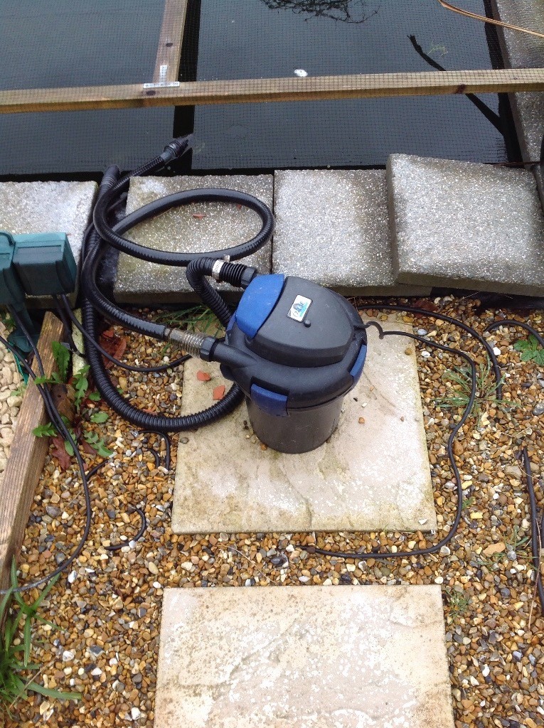 Koi fish and pond equipment in Burton, Dorset Gumtree