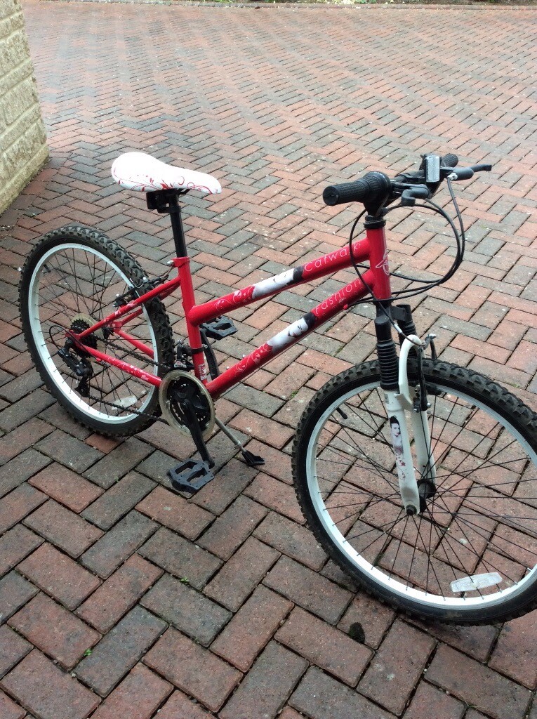 maxxis holy roller 29