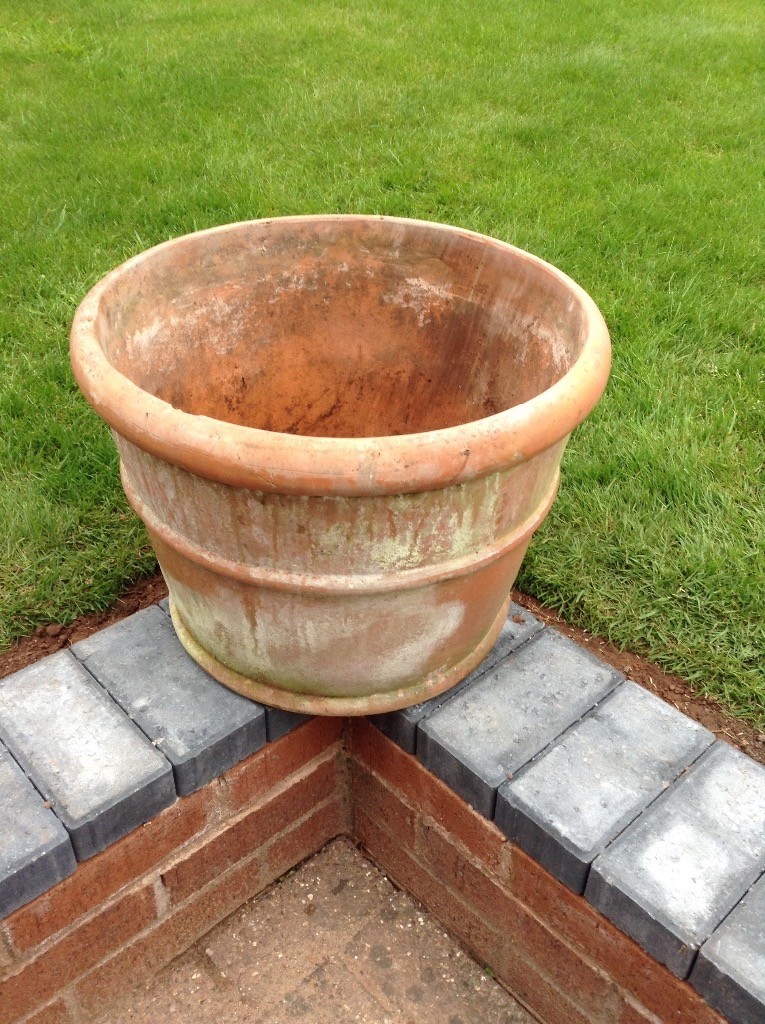 Large Terracotta Flower / planting Pot in Cullompton, Devon Gumtree