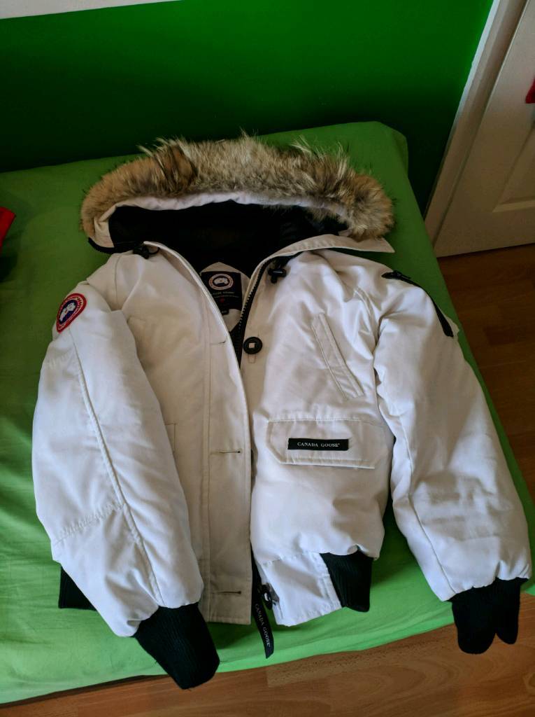 canada goose gumtree scotland canada goose gumtree scotland