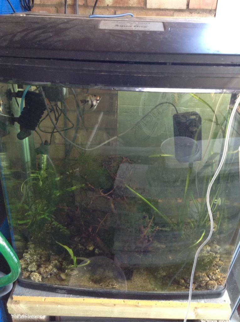 Aqua 620 t fish tank in Ipswich, Suffolk Gumtree