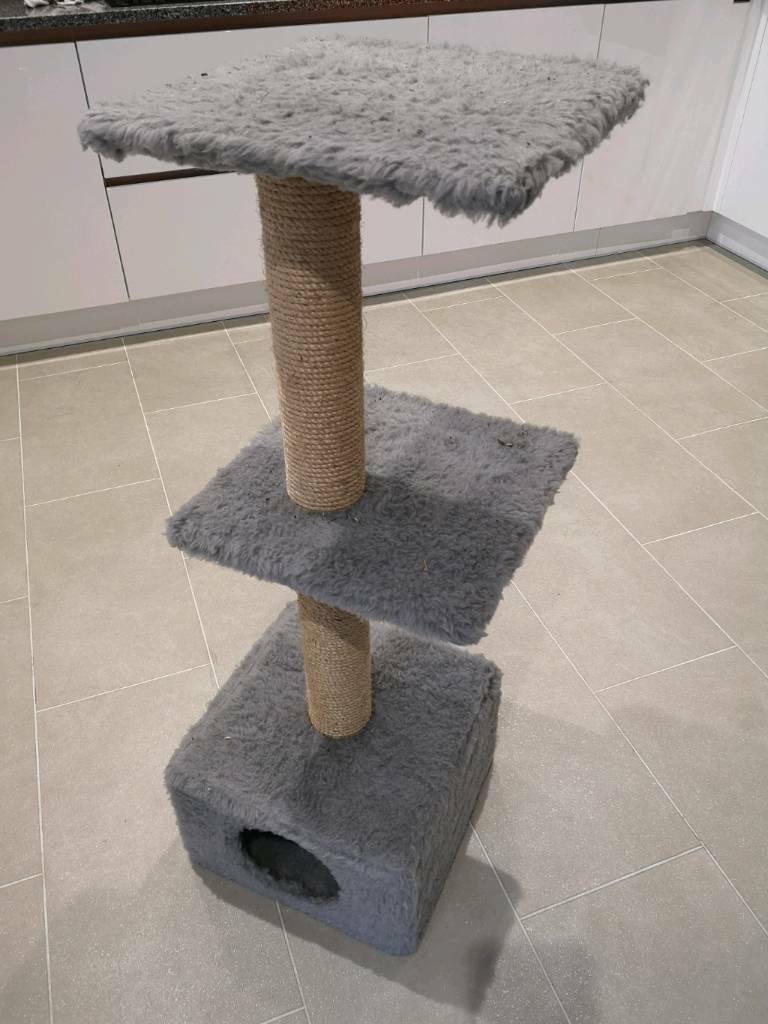 Large Cat Scratch Tree in Poole, Dorset Gumtree
