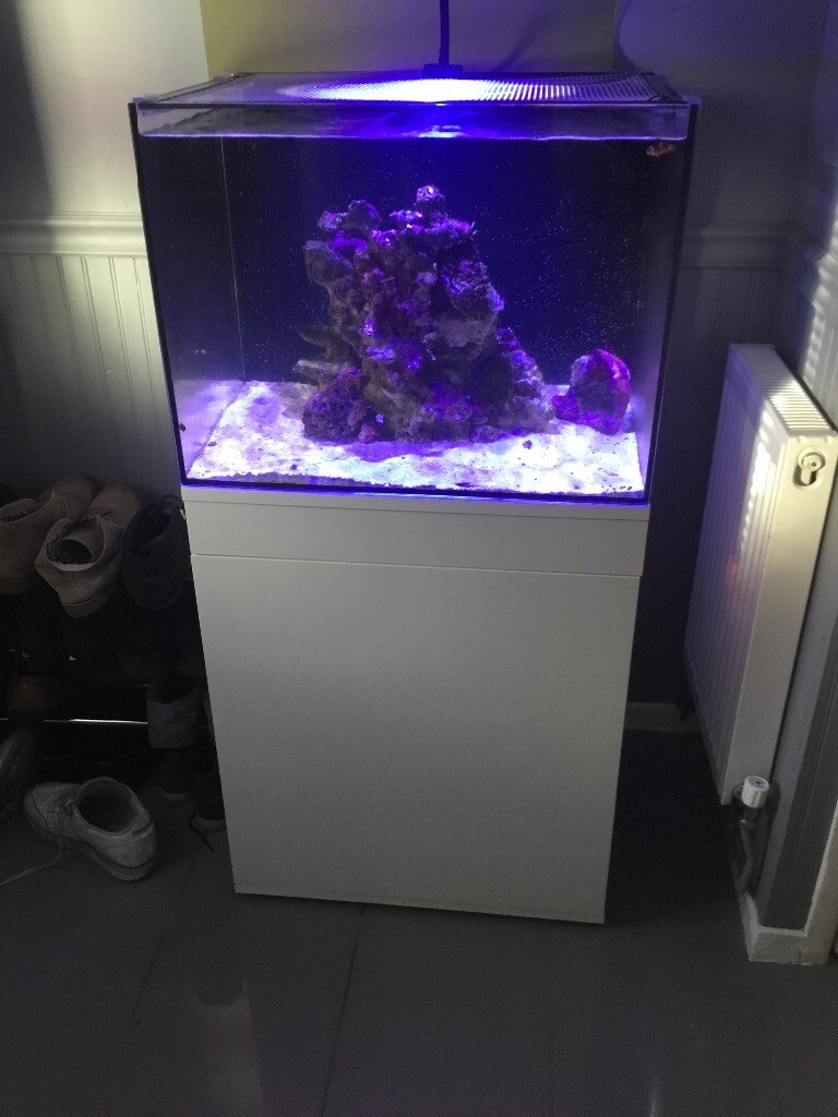 150. Litre marine fish tank full set up in Shepshed, Leicestershire